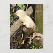 Ich glaube, ich kann postkarte (Vorderseite)