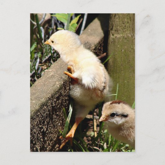 Ich glaube, ich kann postkarte (Vorderseite)