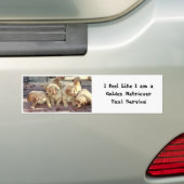 Ich glaube, wie ich ein goldener Retreiver Autoaufkleber (Auf Auto)