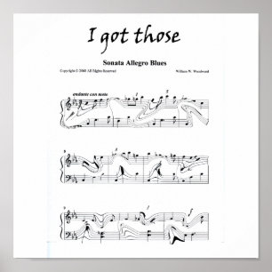 Ich got jene "Sonata-allegroBlues " Poster