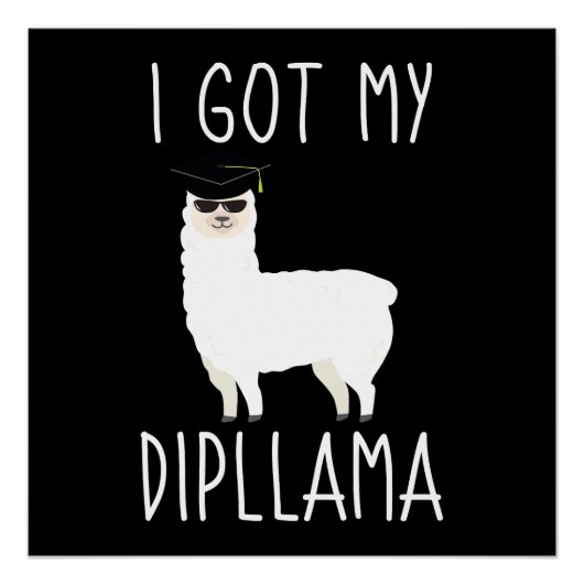 Ich Got meinen Dipllama Poster (Vorderseite)