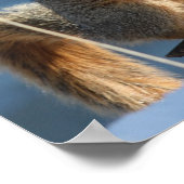 Ich habe anscheinend meine Nüsse verloren! Poster (Ecke)