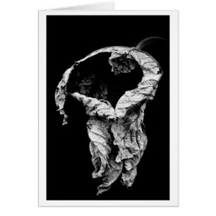 Ich habe auf dich gewartet