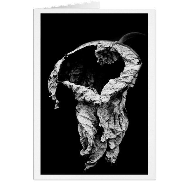 Ich habe auf dich gewartet (Vorne)