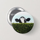 Ich habe das Ganze des Internets - Kuh-Knopf Button (Vorne & Hinten)