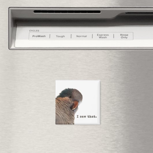 Ich habe das gesehen magnet (In Situ (Geschirrspüler))