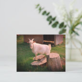 Ich habe das hier. postkarte (Stehend Vorderseite)