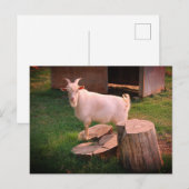 Ich habe das hier. postkarte (Vorne/Hinten)