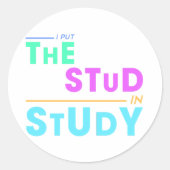 Ich habe das Studium in Study - Funny Student Desi Runder Aufkleber (Vorderseite)