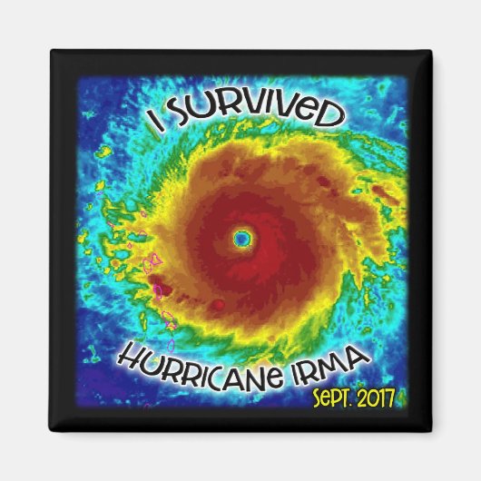 Ich habe den Hurrikan Irma Magnet überlebt (Vorne)