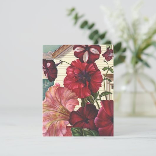 Ich habe die Ankündigung Petunia Blume Zuhause ver (Stehend Vorderseite)