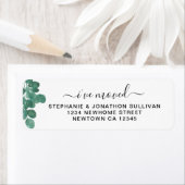 Ich habe die Eukalyptus-Rücksendeadresse verschobe (Insitu)