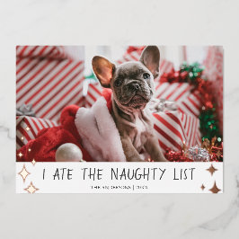 Ich habe die Holiday Card "Pet Foto Foil" der Kind Folien Feiertagskarte