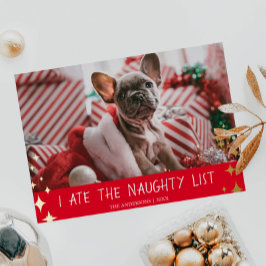 Ich habe die Holiday Card "Pet Foto Foil" der Kind Folien Feiertagskarte