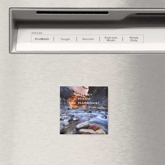 Ich habe die Pfeile angefahren, Zion Nationalpark, Magnet (In Situ (Geschirrspüler))