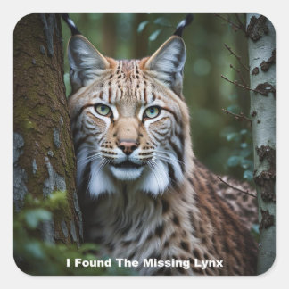 Ich habe die Vermissten Lynx-Aufkleber gefunden Quadratischer Aufkleber