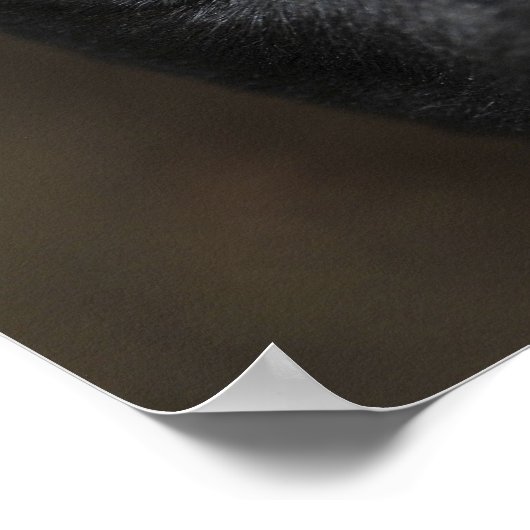 Ich habe dir das Auge got - Poster (Ecke)