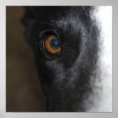 Ich habe dir das Auge got - Poster (Vorne)