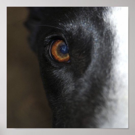 Ich habe dir das Auge got - Poster (Vorne)