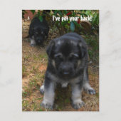 Ich habe dir den Rücken got! Deutsche Schäferpuppy Postkarte (Vorderseite)