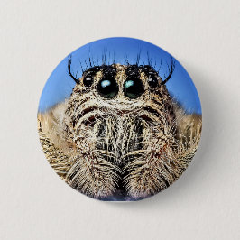 Ich habe dir die Augen got! Button