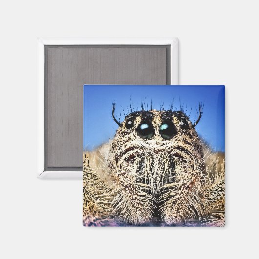 Ich habe dir die Augen got! Magnet (Vorderseite/Rückseite)