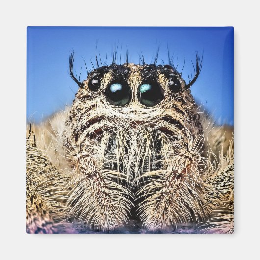 Ich habe dir die Augen got! Magnet (Vorne)