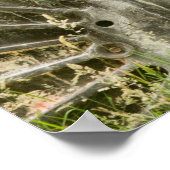 Ich habe dir die Augen got! Poster (Ecke)