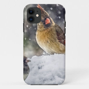 Ich habe dir mein Auge Got Case-Mate iPhone Hülle
