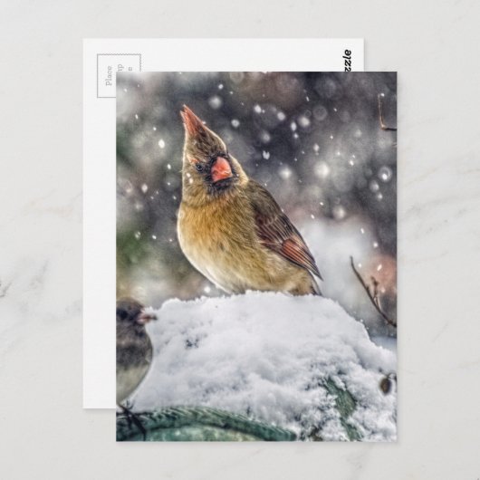 Ich habe dir mein Auge Got Postkarte (Vorne/Hinten)