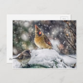 Ich habe dir mein Auge Got Postkarte (Vorne/Hinten)