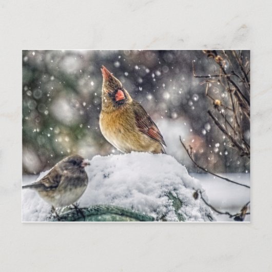 Ich habe dir mein Auge Got Postkarte (Vorderseite)