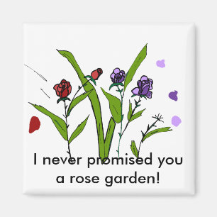 Ich habe dir nie einen Magneten für den Rose versp Magnet