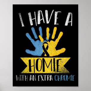 Ich habe ein Haus mit einem Extra-Chromie-Down-Syn Poster