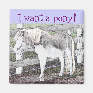 Ich habe ein Pony gewollt! Magnet