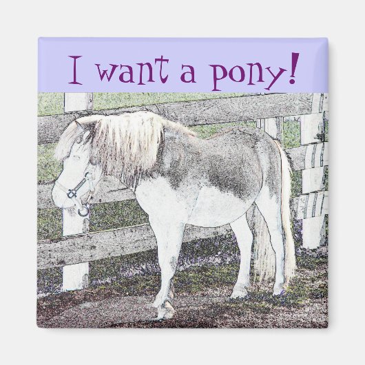 Ich habe ein Pony gewollt! Magnet (Vorne)