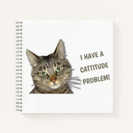 Ich habe ein Problem mit der Höhe des Fluges! nied Notizblock