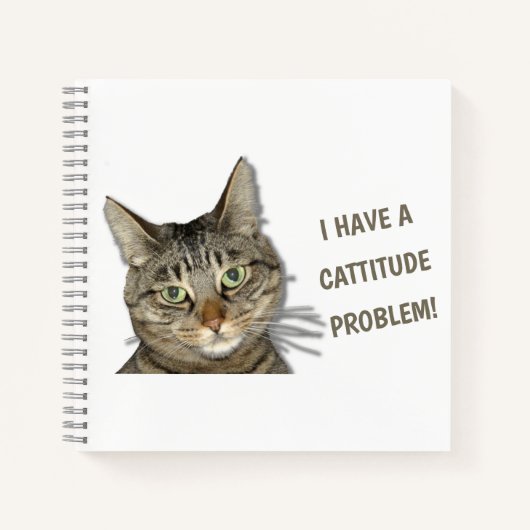 Ich habe ein Problem mit der Höhe des Fluges! nied Notizblock (Vorderseite)