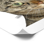 Ich habe ein Problem mit der Höhe des Fluges! nied Poster (Ecke)