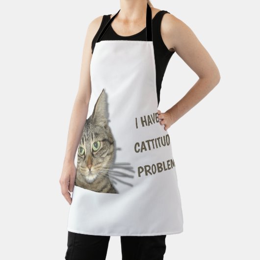 Ich habe ein Problem mit der Höhe des Fluges! nied Schürze (InSitu)