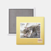 Ich habe ein u magnet (Vorderseite/Rückseite)