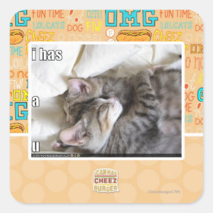 Ich habe ein u quadratischer aufkleber