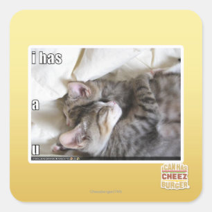 Ich habe ein u quadratischer aufkleber