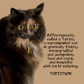 Ich habe eine Katze mit Tortitude fotografiert Jeansjacke