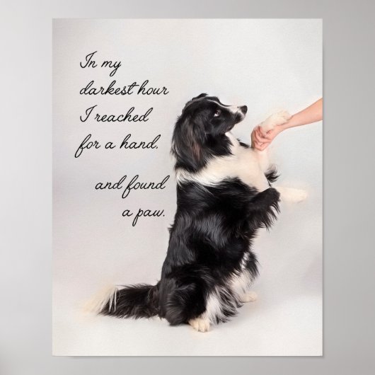 Ich habe eine Paw gefunden Poster (Vorne)