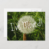 Ich habe eine Postkarte mit Dandelion-Foto verscho (Vorne/Hinten)