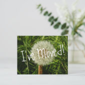 Ich habe eine Postkarte mit Dandelion-Foto verscho (Stehend Vorderseite)