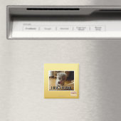 Ich habe einen Geschmack Magnet (In Situ (Geschirrspüler))