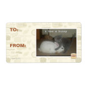 Ich habe einen Hase (Vorne)