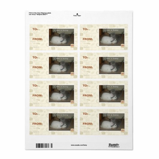 Ich habe einen Hase (Vorne)